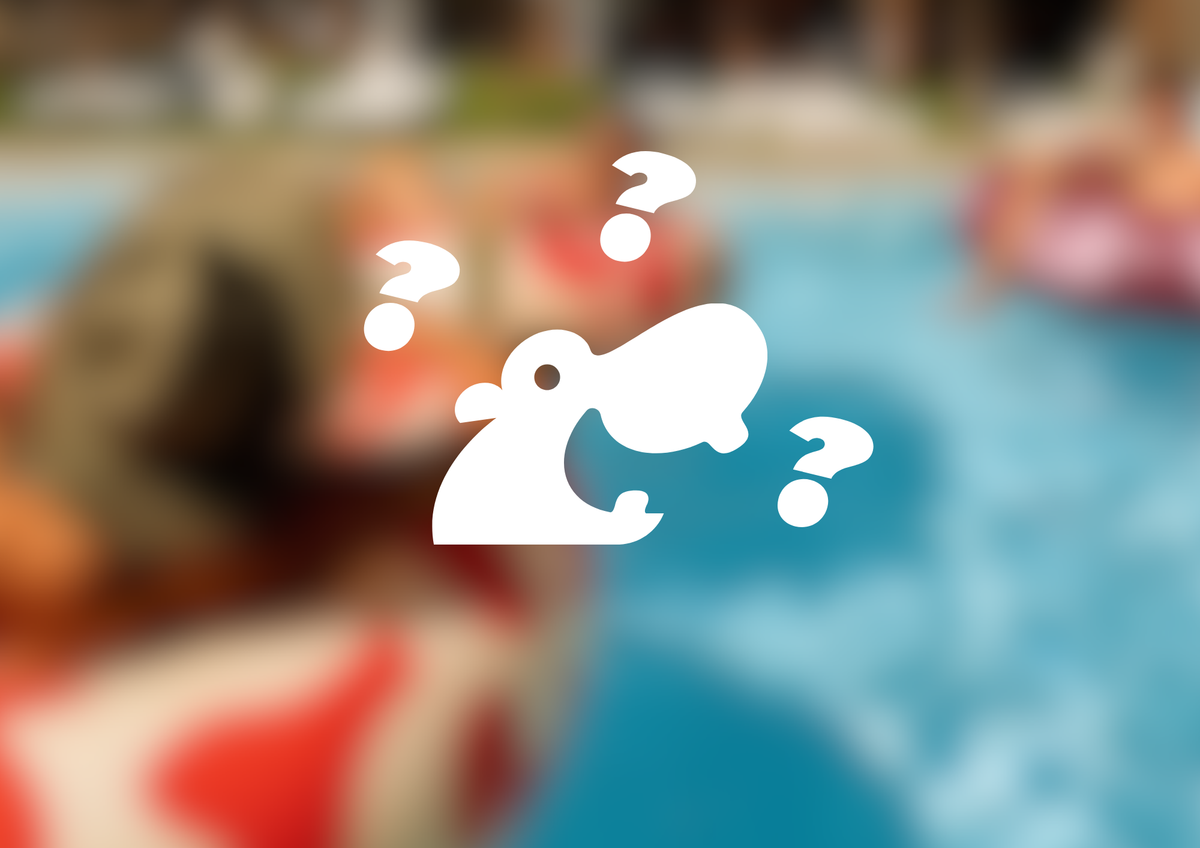 Pourquoi l'hippopotame est-il notre mascotte ? L'histoire de myhippoplace